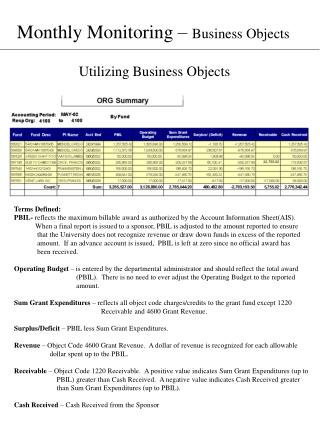 Monthly Monitoring – Business Objects