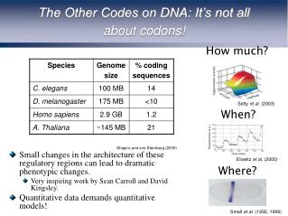 The Other Codes on DNA: It’s not all about codons!