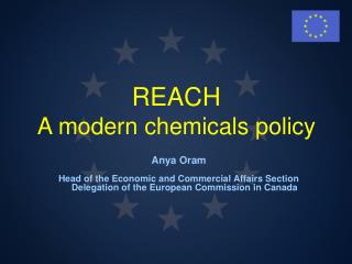 REACH A modern chemicals policy