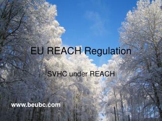 EU REACH Regulation