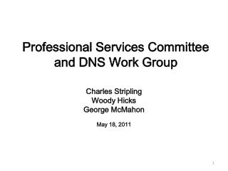 Professional Services Committee and DNS Work Group