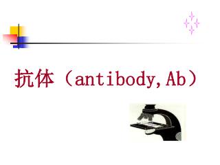 抗体（ antibody,Ab ）
