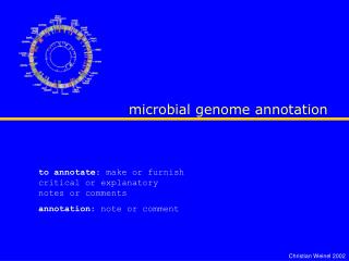 microbial genome annotation