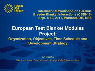 The European Breeder Blanket concepts European TBM Project Organization TBM testing at ITER