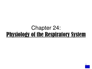 Chapter 24: Physiology of the Respiratory System