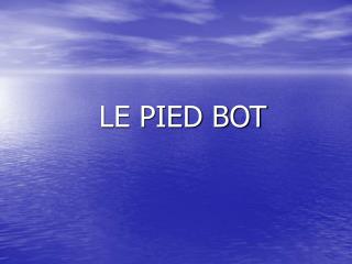 LE PIED BOT