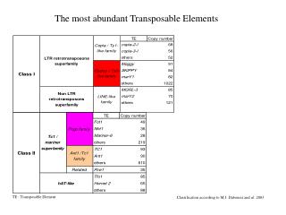 Classification according to M.J. Daboussi and al. 2003