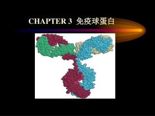 CHAPTER 3 免疫球蛋白