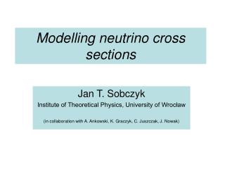 Modelling neutrino cross sections