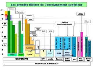 Les grandes filières de l’enseignement supérieur