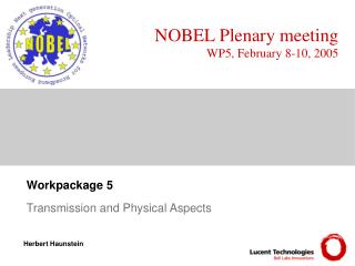 Workpackage 5 Transmission and Physical Aspects