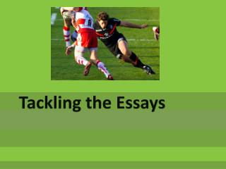 Tackling the Essays