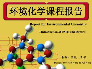 环境化学课程报告