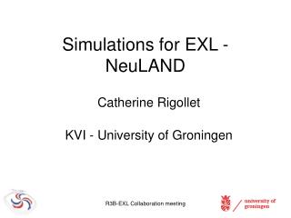 Simulations for EXL - NeuLAND