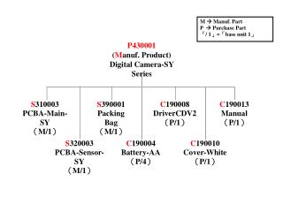 P430001 ( M anuf. Product) Digital Camera-SY Series