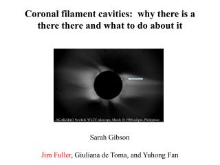 Coronal filament cavities: why there is a there there and what to do about it
