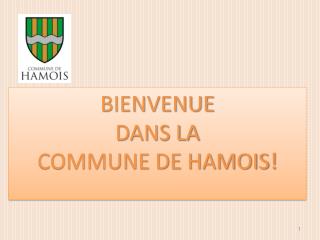 BIENVENUE DANS LA COMMUNE DE HAMOIS!