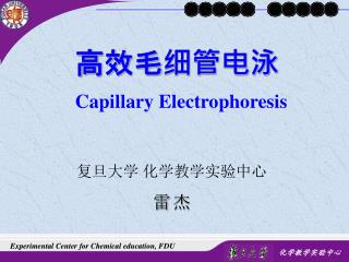 高效毛细管电泳 Capillary Electrophoresis