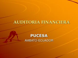 AUDITORIA FINANCIERA