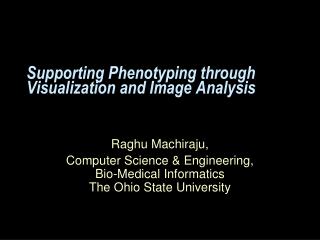 Supporting Phenotyping through Visualization and Image Analysis