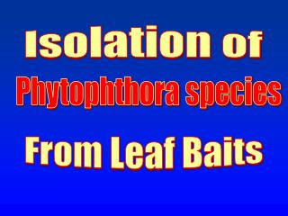 Isolation of