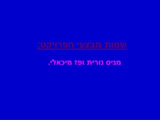 שמות מבצעי הפרויקט: