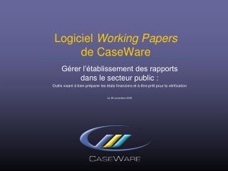 Logiciel Working Papers de CaseWare