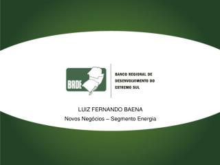 LUIZ FERNANDO BAENA Novos Negócios – Segmento Energia