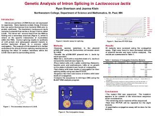 Genetic Analysis of Intron Splicing in Lactococcus lactis