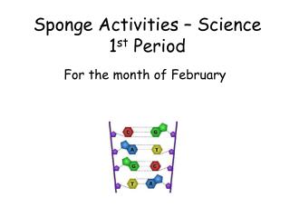 Sponge Activities – Science 1 st Period