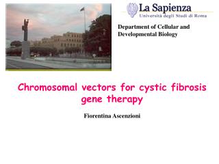 Chromosomal v e ctors for cystic f i brosis gene therapy Fiorentina Ascenzioni