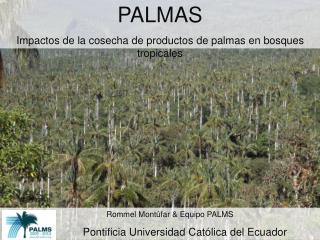 PALMAS Impactos de la cosecha de productos de palmas en bosques tropicales