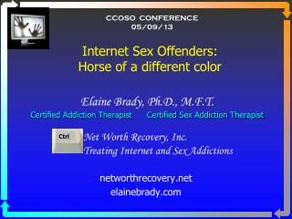 Elaine Brady, Ph.D., M.F.T. Certified Addiction Therapist Certified Sex Addiction Therapist