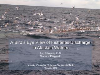 A Bird’s Eye View of Fisheries Discharge in Alaskan Waters