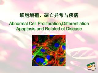 细胞增殖、凋亡异常与疾病 Abnormal Cell Proliferation,Differentiation Apoptosis and Related of Disease