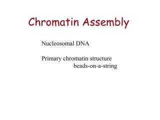 Chromatin Assembly