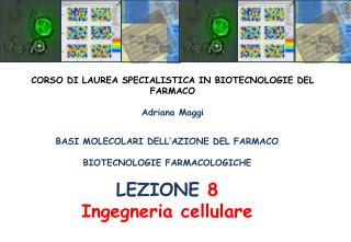 BASI MOLECOLARI DELL’AZIONE DEL FARMACO BIOTECNOLOGIE FARMACOLOGICHE LEZIONE 8