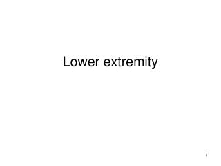 Lower extremity