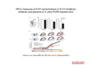 A Bonnin et al. Nature 472 , 347 - 350 (2011) doi:10.1038/nature09972