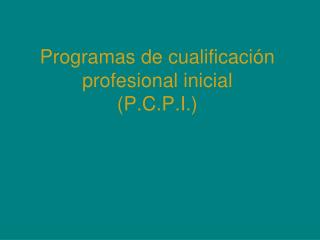 Programas de cualificación profesional inicial (P.C.P.I.)