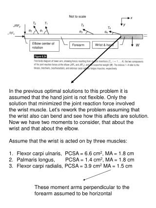 In the previous optimal solutions to this problem it is