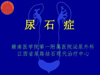 尿 石 症 赣南医学院第一附属医院泌尿外科 江西省尿路结石现代治疗中心