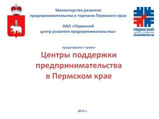представляют проект Центры поддержки предпринимательства в Пермском крае
