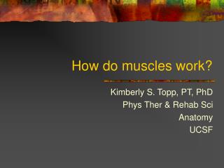 How do muscles work?