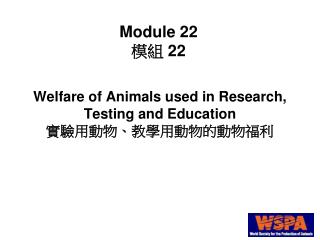 Welfare of Animals used in Research, Testing and Education 實驗用動物、教學用動物的動物福利