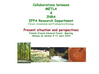 Collaborations between METLA &amp; INRA EFPA Research Department