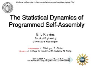 The Statistical Dynamics of Programmed Self-Assembly