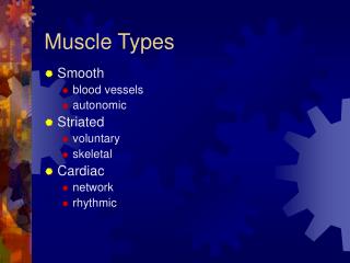 Muscle Types