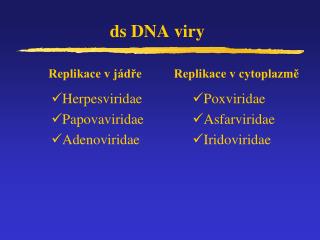 ds DNA viry