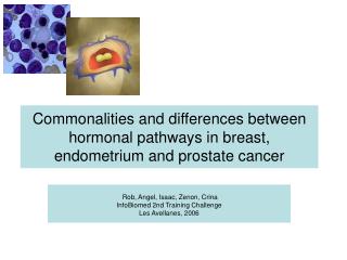 Commonalities and differences between hormonal pathways in breast, endometrium and prostate cancer